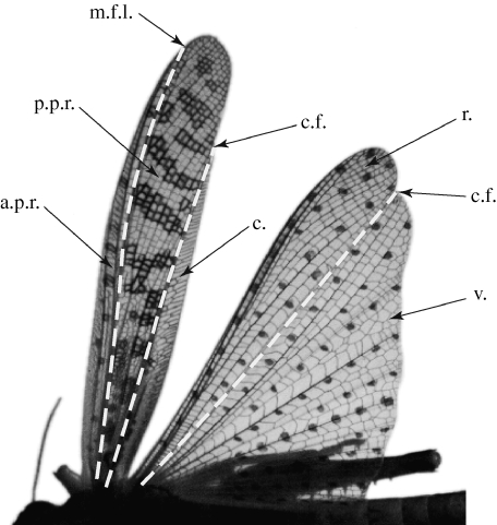 Figure 10