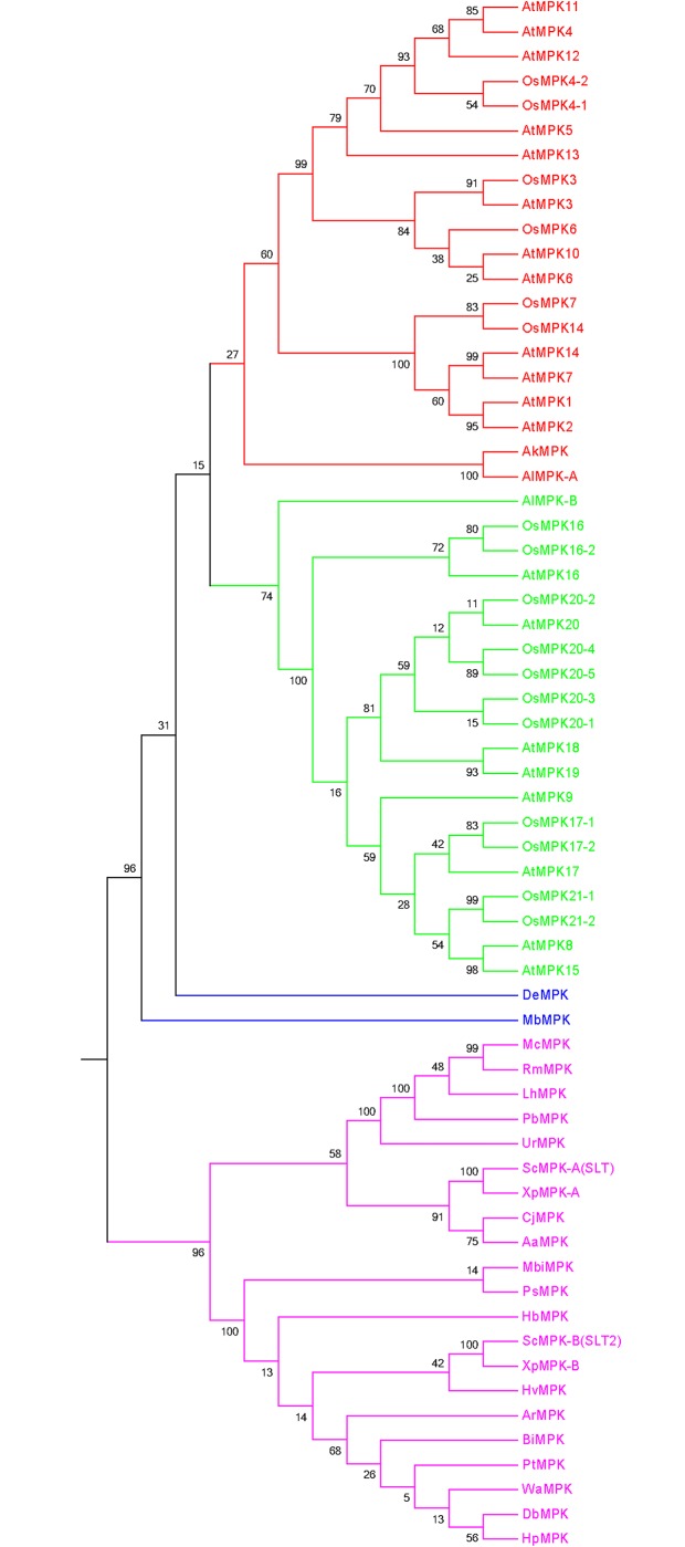 Fig 5