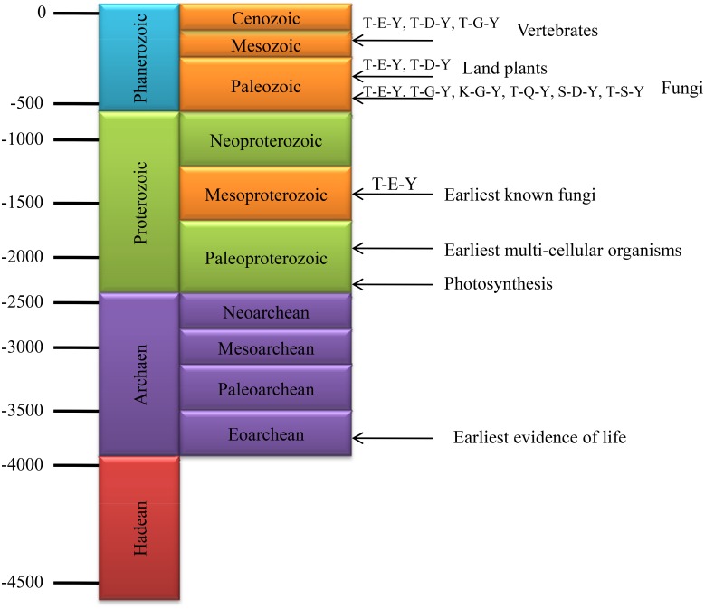 Fig 7