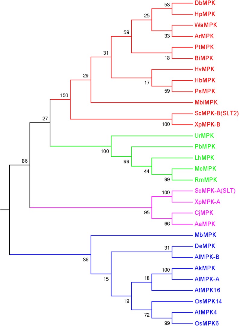 Fig 4