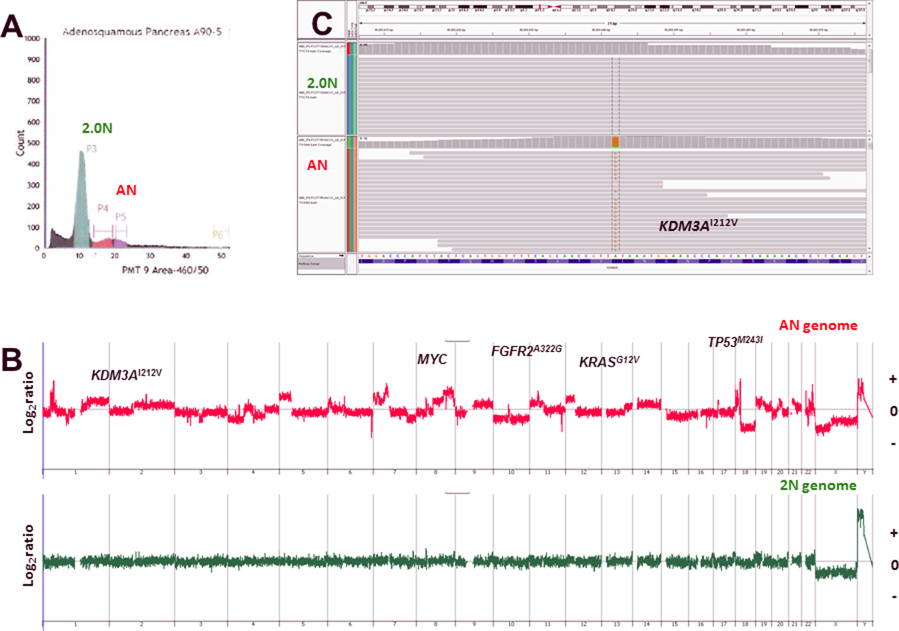 Figure 1: