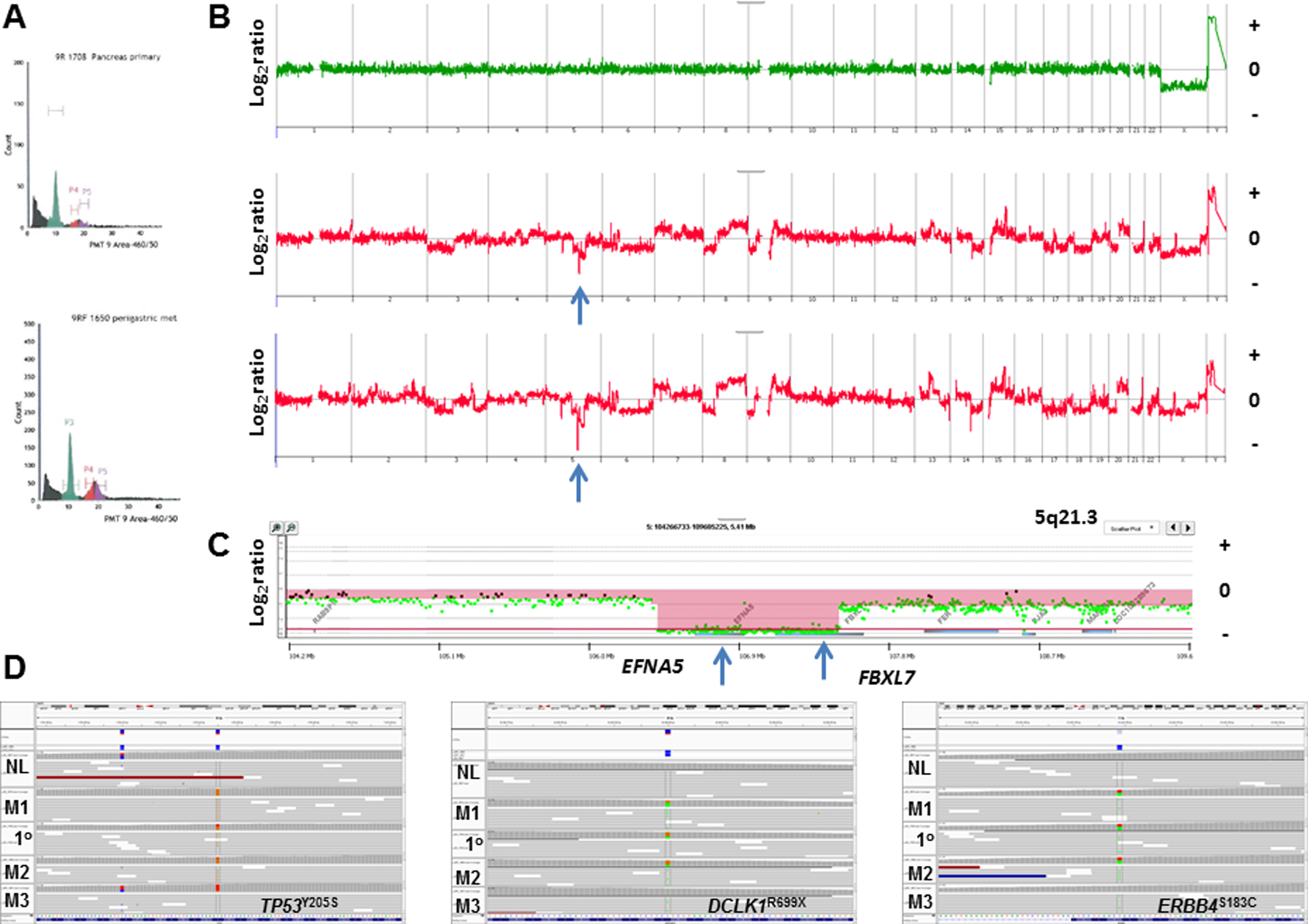 Figure 3: