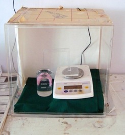 Figure 8: Weighing Whole Denture Base in Water.