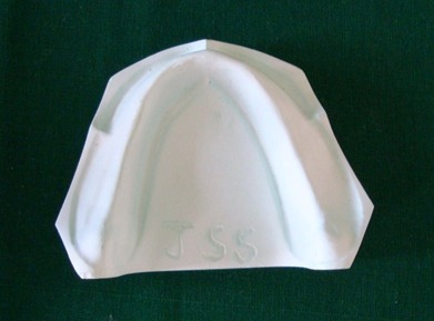 Figure 2: Master Cast obtained from Silicone Mold.