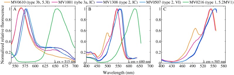 Fig. 3