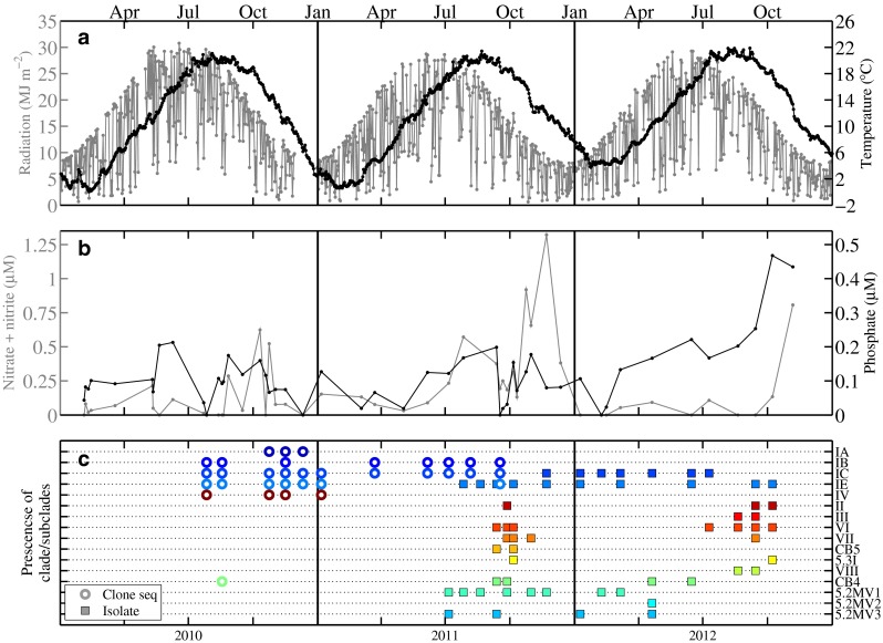 Fig. 7