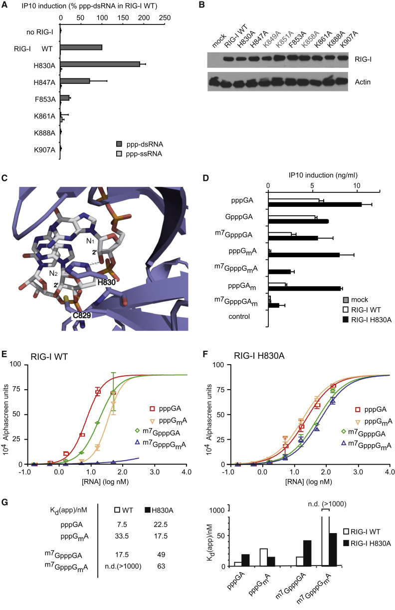 Figure 2