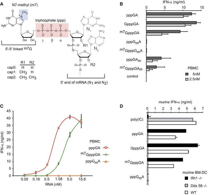 Figure 1