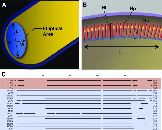 FIG. 2.