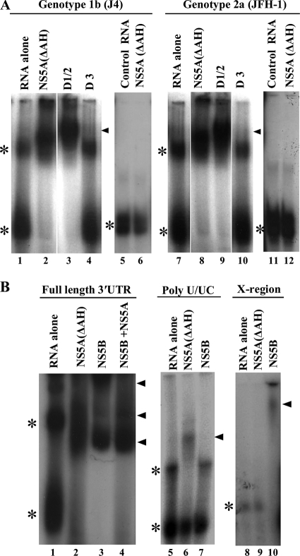 FIG. 7.