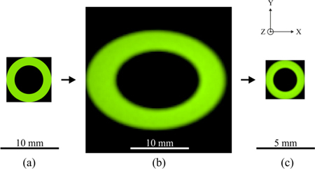 Fig. 6