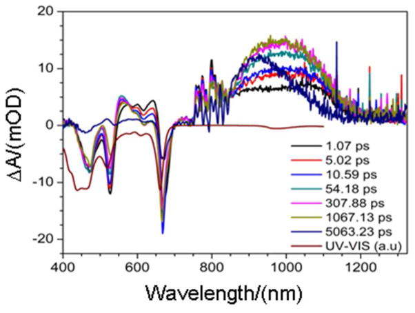 Figure 13