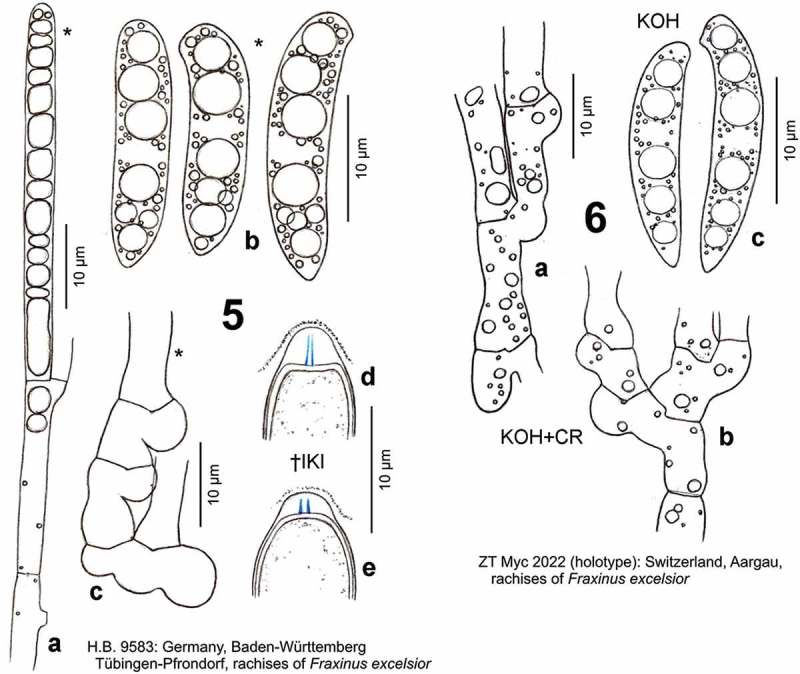 Figures 5–6. 