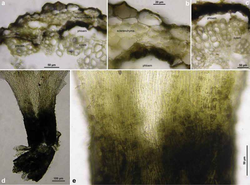 Figure 22. 