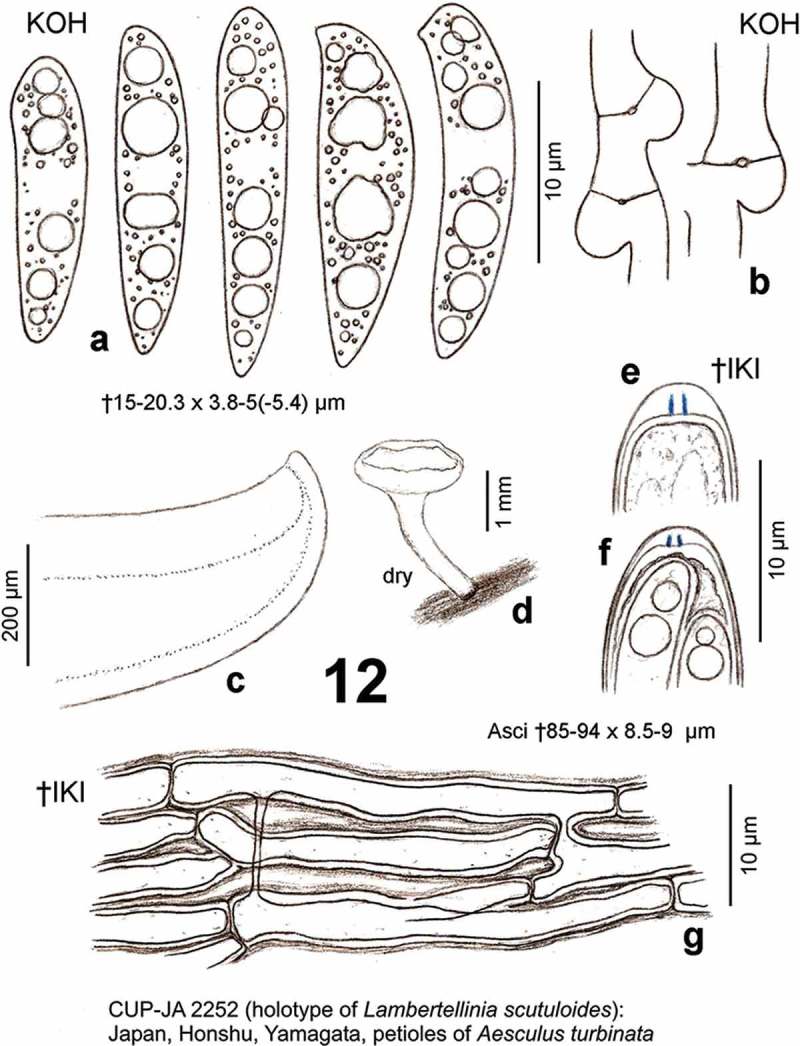 Figure 12. 