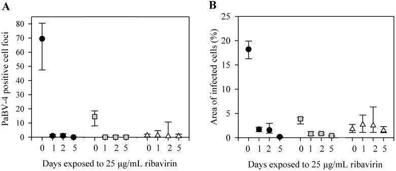 Fig 5