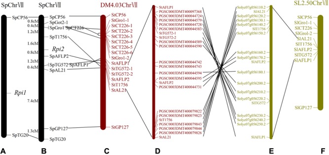 FIGURE 3