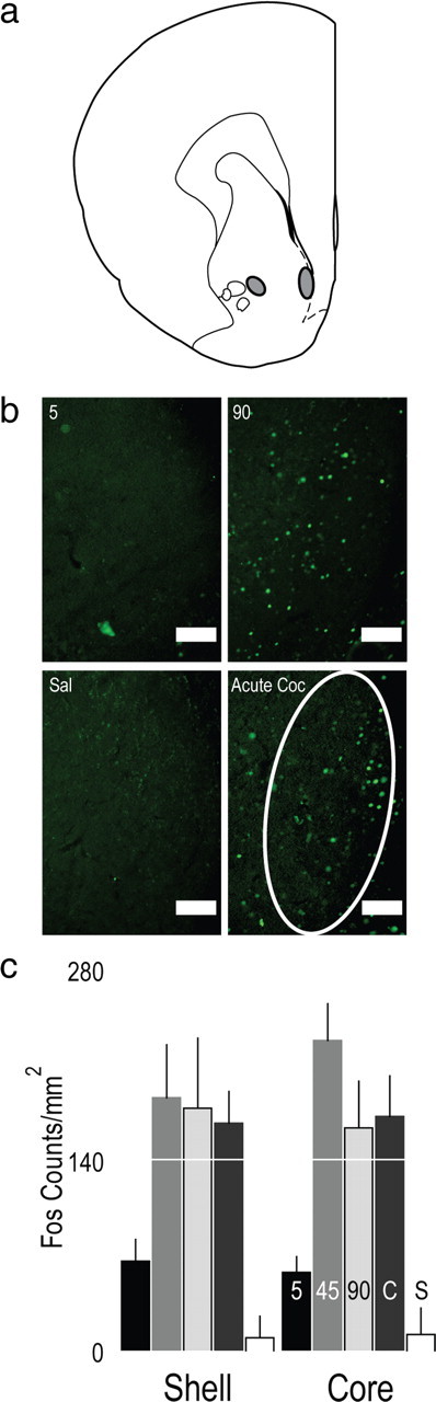 Figure 9.