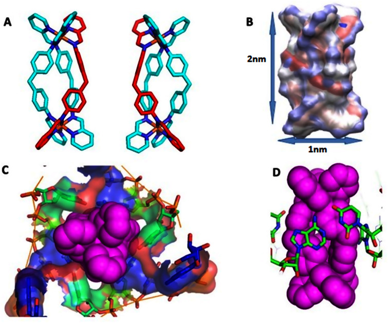 Fig. 1