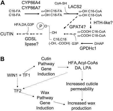 Figure 9.