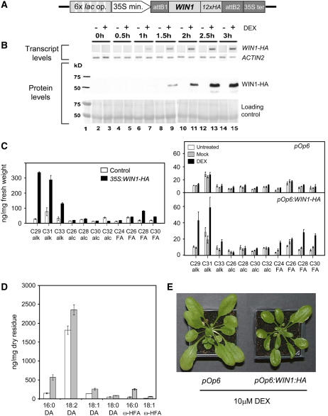 Figure 3.