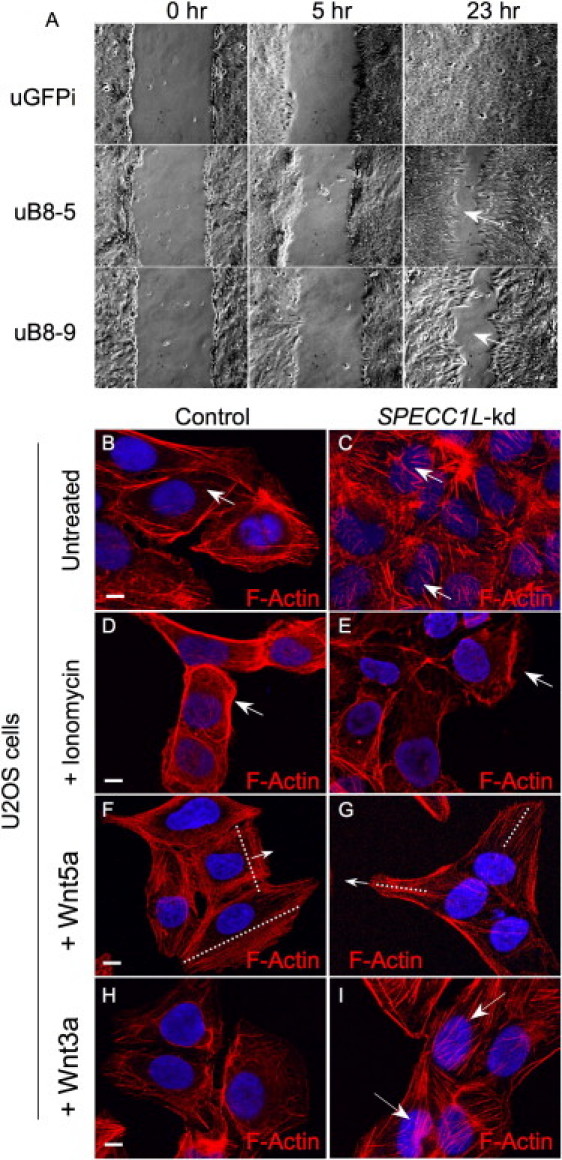 Figure 6