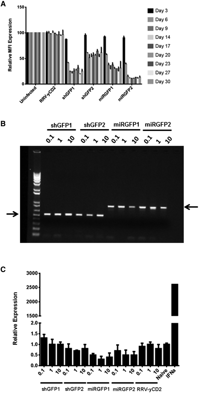 Figure 2