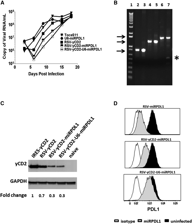 Figure 5