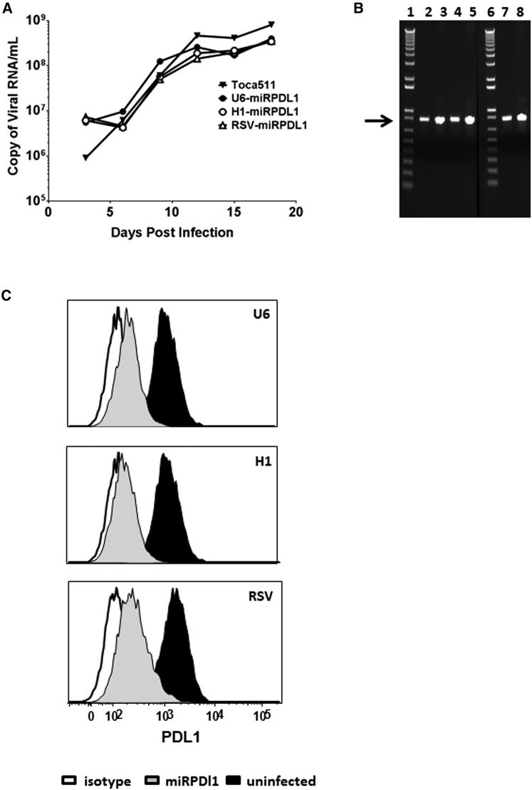 Figure 4