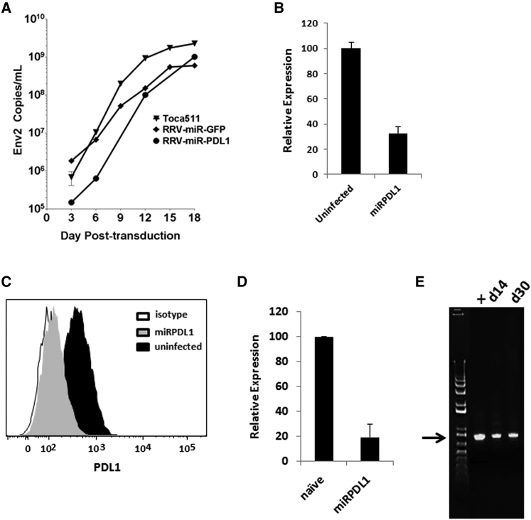 Figure 3