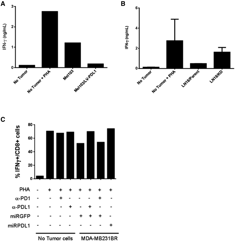 Figure 6