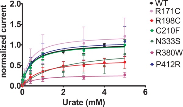 FIGURE 9