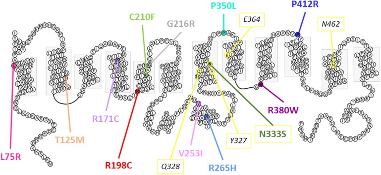 FIGURE 10