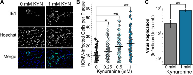 FIG 6