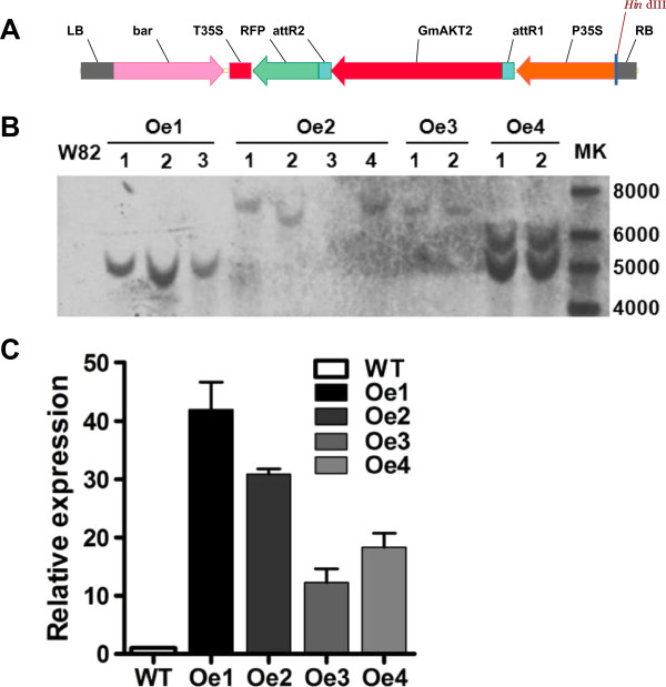 Figure 4