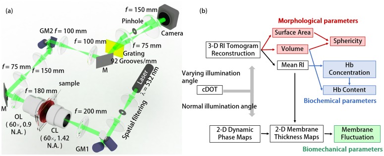 Fig 5