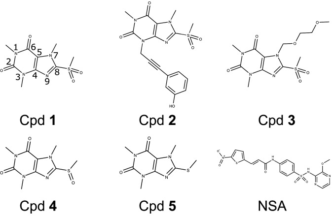 Fig. 1.