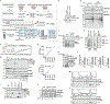 Extended Data Fig. 1 |