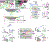 Extended Data Fig. 9 |