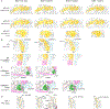 Extended Data Fig. 6 |