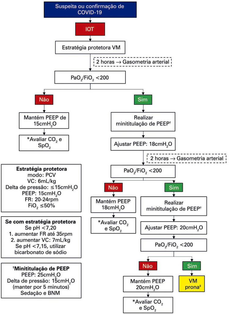 Figura 2