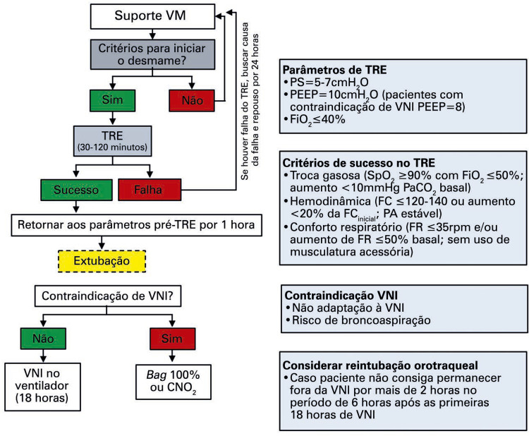 Figura 3