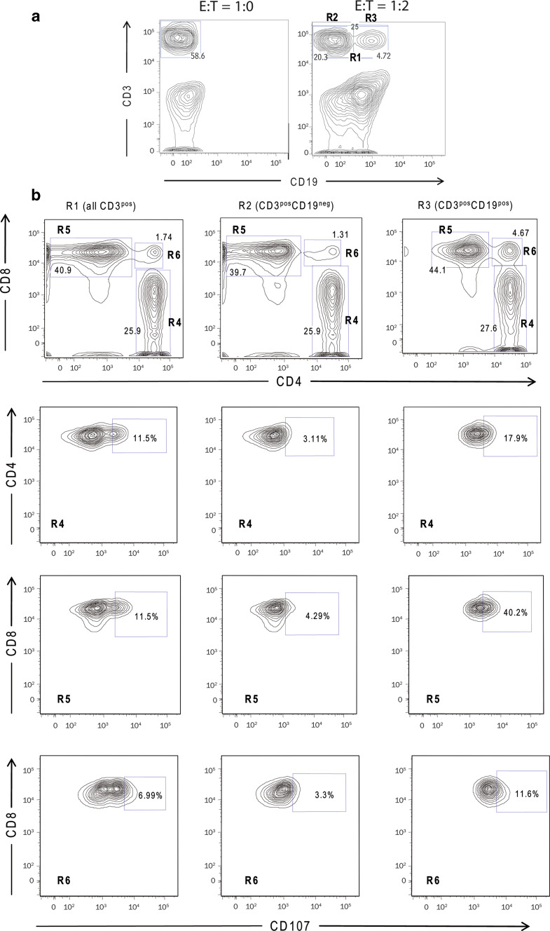 Fig. 4