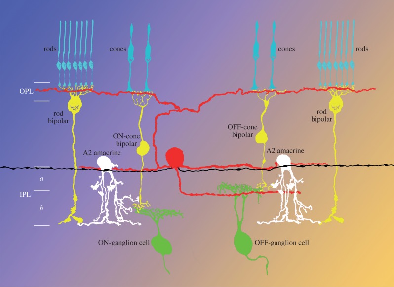 Figure 1.