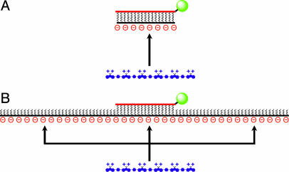 Scheme 3.