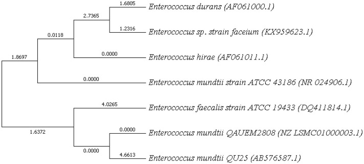 Figure 7