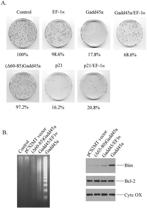 FIG. 8.