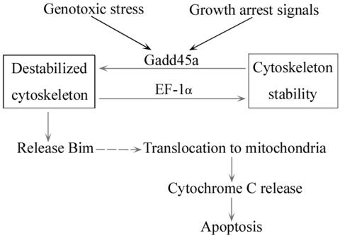 FIG. 9.