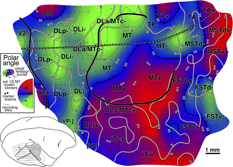 Fig. 7.