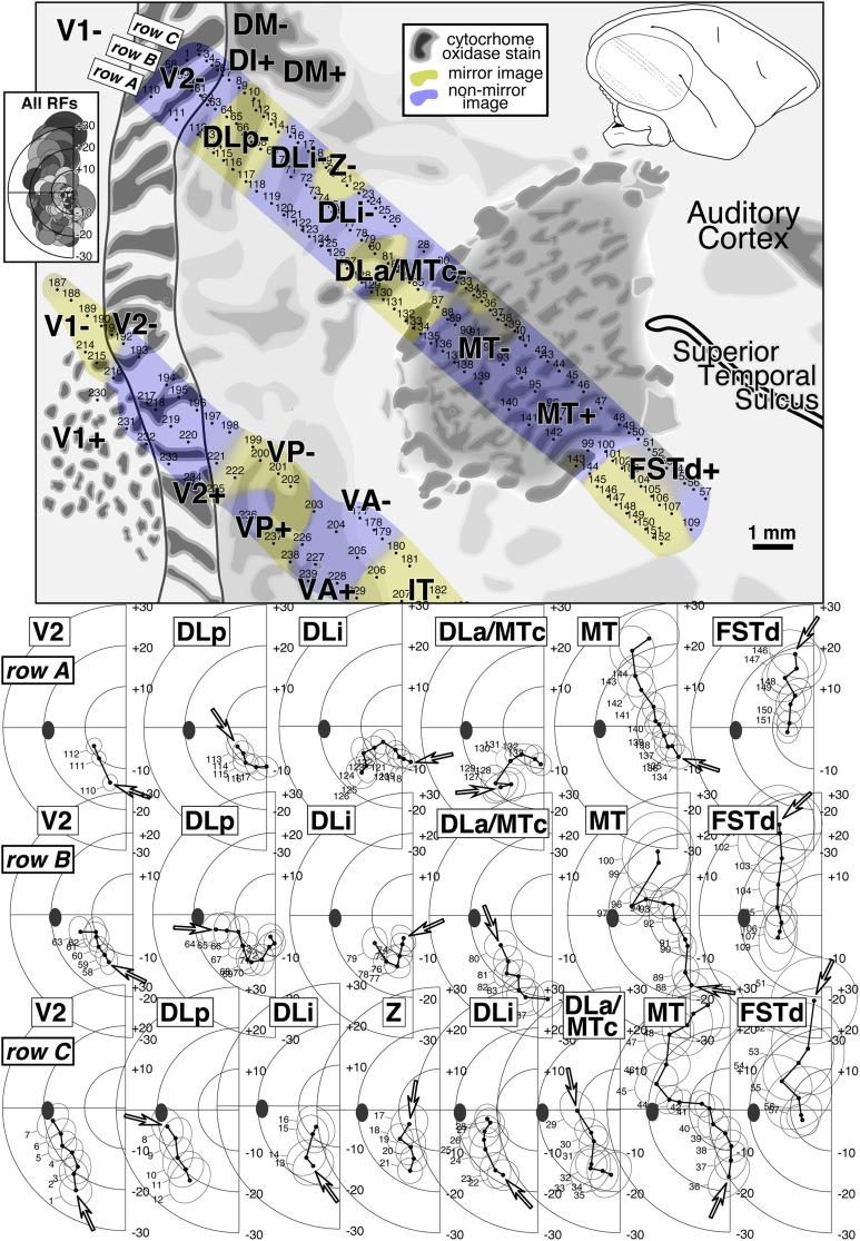 Fig. 17.